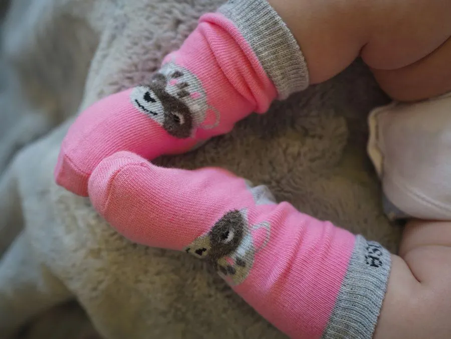 Blade and Rose Raccoon Cotton Socks 可愛浣熊全棉嬰兒襪