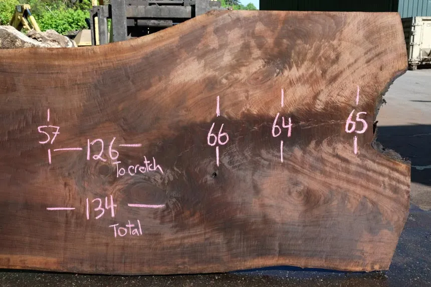 Oregon Black Walnut Slab 050623-13