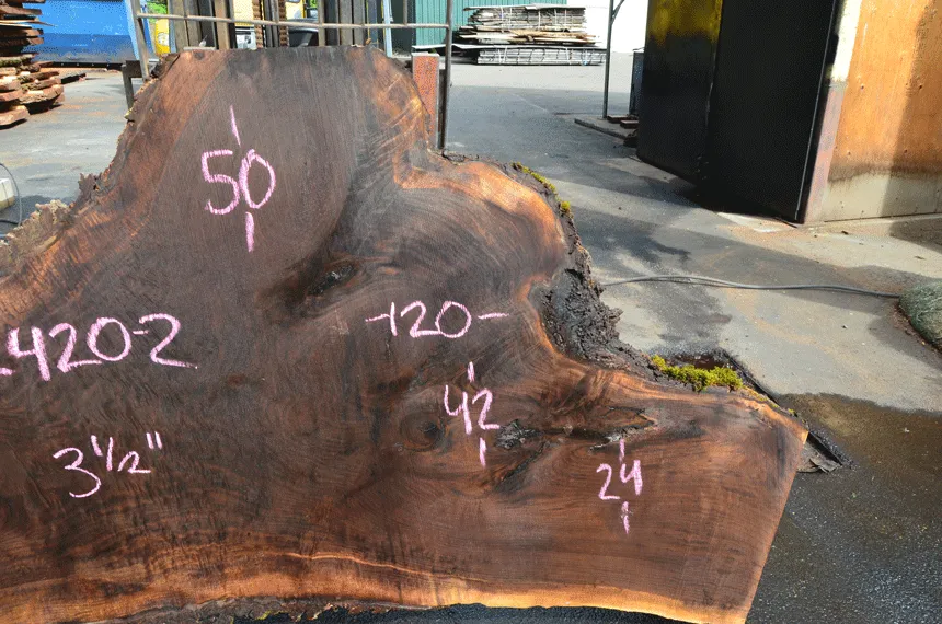 Oregon Black Walnut Slab 052420-02