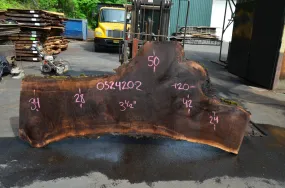 Oregon Black Walnut Slab 052420-02